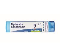 HYDRASTIS CAN BOI*9CH 80GR