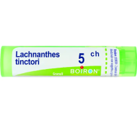 Lachnanthes Tinctoria 5ch 80 granuli