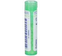 Actaea spicata 5ch 80 granuli 4 grammi