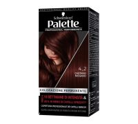 Palette Professional Performance Colorazione Permanente 4.2 Castano Mogano