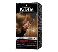 Palette Professional Performance Colorazione Permanente 6.7 Biondo Miele