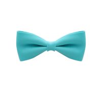 Becco con Fiocco Azzurro 1pz