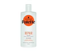 Balsamo Palette Professional Repaire 440ml