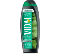 Vidal Doccia Schiuma Mint e Ginkgo 250ml