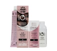 Alama S.O.S Color & Go 6.0 biondo scuro colorazione professionale permanente 90 + 90ml