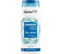 Splend cetriolo shampoo purificante fresco 300ml