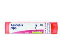 Aesculus Hippocastanum 17ch granuli