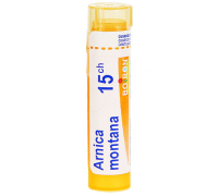 ARNICA 15CH GR