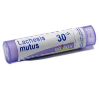 Boiron Lachesis Mutus 30ch granuli 4 grammi
