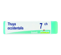Thuya Occidentalis 7ch globuli