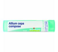Allium Cepa Compose granuli