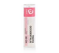 THUYA OCCIDENT 30CH GR