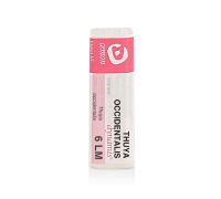 THUYA OCCIDENT 6LM GR