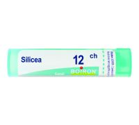 Silicea 12ch granuli