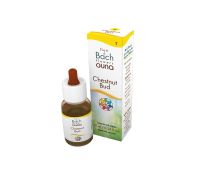 Chestnut Bud Fiori di Back 10ml