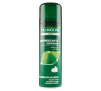 Palmolive Men rinfrescante al mentolo schiuma da barba 300ml