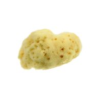 Beautytime spugna naturale fine dama di altissima qualità