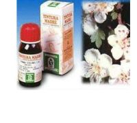 BIANCOSPINO 10 50ML TM