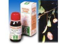 Quercia marina tintura madre 50ml