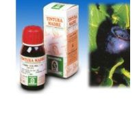 Mirtillo 31 integratore per la microcircolazione soluzione idroalcolica 50ml