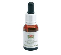 Alpine Mint Bush Australian essenza floreale gocce orali 15ml