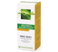 Ribes Nero macerato idroalcolico per il benessere articolare 50ml