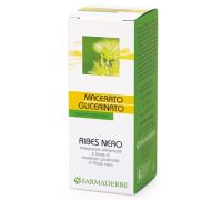 Ribes Nero integratore per la funzione articolare macerato glicerinato 50ml