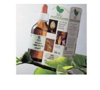 Fico integratore per il supporto intestinale macerato glicerico 100ml