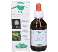 Ribes Nero gemme fresche 2% macerato glicerico 100ml