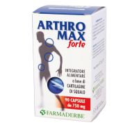 ARTHROMAX FORTE 90CPS