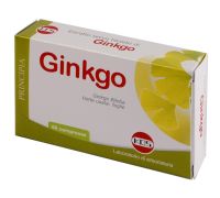 GINKGO BILOBA ES 60CPR