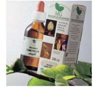 Betulla macerato glicerico di gemme di betula verrucosa 100ml