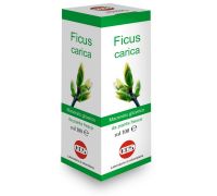 Ficus Carica Macerato integratore per il benessere dello stomaco macerato glicerico 100ml