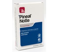 PINEAL NOTTE 24CPR