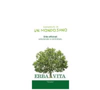 Argilla Verde super ventilata 300 grammi