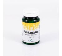 Piantaggine integratore per le vie aeree 60 capsule