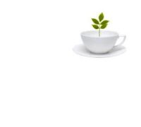 Tisalax tisana per il benessere dell'intestino 100 grammi