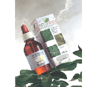 Erisimo tintura madre 100ml