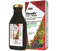 FLORADIX 250ML