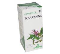 GEMMOSOL 37 ROSA CANINA 50ML