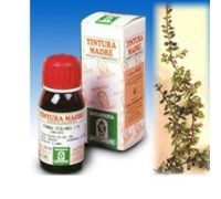 UVA URSINA 30 50ML TM