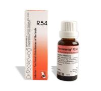 Reckeweg R13 rimedio omeopatico gocce orali 22ml