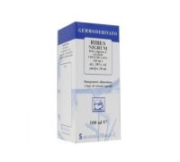 RIBES NIGRUM 100ML MG