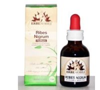 FITOBLASTO RIBES NIGRUM 50ML
