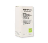 Rosa Canina 10% macerato glicerico 100ml