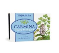 Carmina tisana biologica per la funzione gastro-intestinale 20 bustine filtro monodose