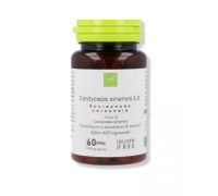 CORDYCEPS SINENSIS 60CPS