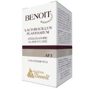 Benoit lactobacillus plantarum integratore per la flora intestinale 30 capsule