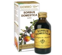 Sorbo Gemmo 10+ integratore per la microicircolazione liquido analcolico 100ml