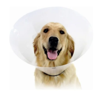 Collare Elisabettiano classico opaco 25cm taglia xl